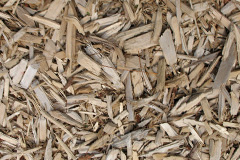 biomass boilers Trelawnyd
