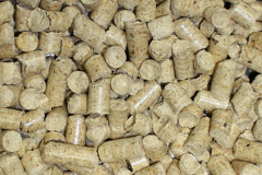 Trelawnyd biomass boiler costs
